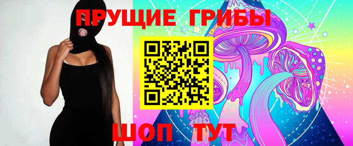 Псилоцибиновые грибы Psilocybe  Вход с VPN  Петрозаводск 