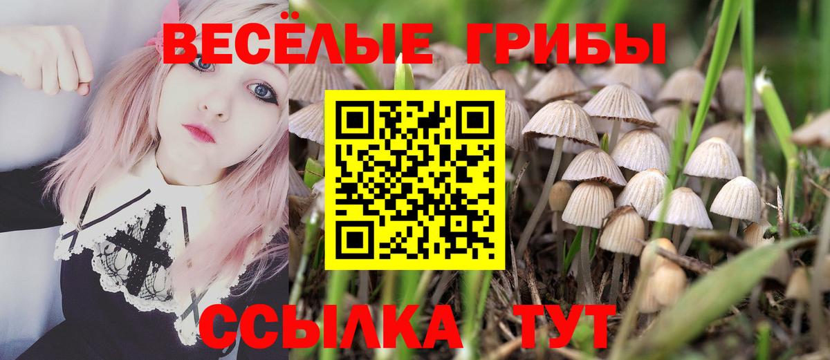 Псилоцибиновые грибы MAGIC MUSHROOMS Петрозаводск